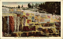 Hyman Terrace, Mammoth Hot Springs Yellowstone National Park, WY Postcard Postcard