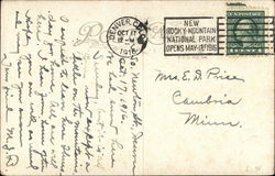 back