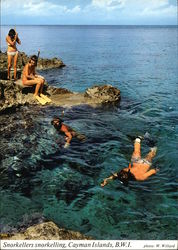 Snorkellers Cayman Islands Caribbean Islands Postcard Postcard