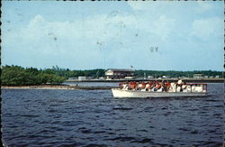 Everglades National Park Boat Tour Everglades City, FL Postcard Postcard