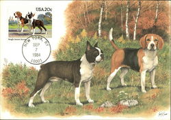 Beagle Boston Terrier Stamp Postcard