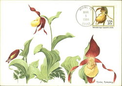 Lady's Slipper Orchid Stamp Postcard