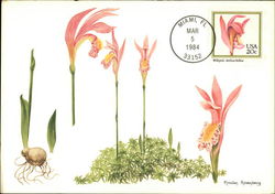 Wild Pink Orchid Stamp Postcard