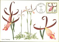Spreading Pogonia Orchid Postcard