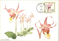 Pacific Calypso Orchid Stamp Postcard