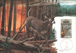 Smokey Bear Stamp Postcard