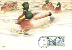 Preserving Wetlands Stamp Postcard