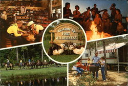 Welcome to Fort Wilderness Postcard