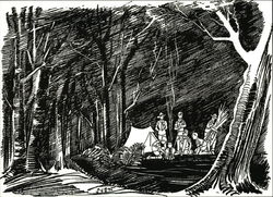 Boy Scouts Camping Postcard