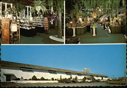Patchogue Floral's Fantasyland Postcard
