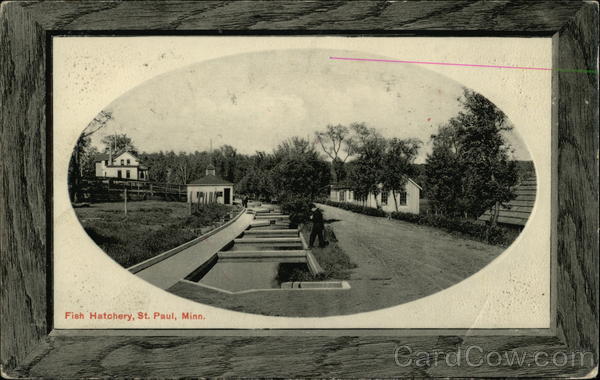 Fish Hatchery St. Paul Minnesota