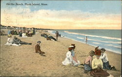On the Beach Plum Island, MA Postcard Postcard