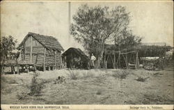 Mexican Ranch Brownsville, TX Postcard Postcard