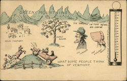 What Some People Think of Vermont Postcard Postcard