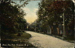 Drive, City Park Postcard