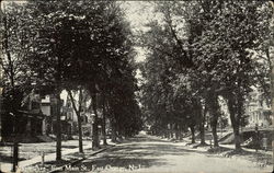 Maple Ave. from Main Street Postcard