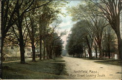 Main Street, Looking South Postcard