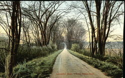 Seven Bridge Road Postcard