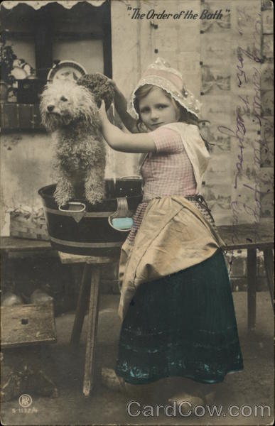 The Order of the Bath - Girl Washing a Dog Dogs