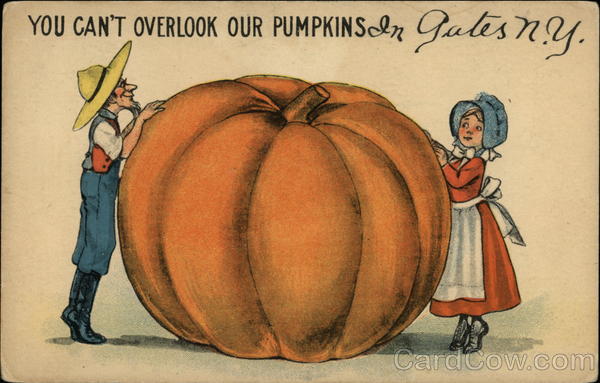 You Can't Overlook our Pumpkins in Gates N.Y Exaggeration