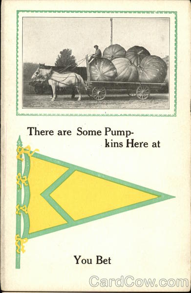 There are Some Pumpkins Here at ..... You Bet Exaggeration