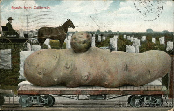 Spuds from California Exaggeration