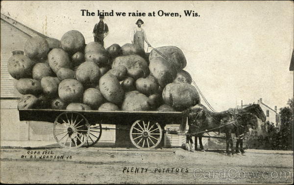 The Kind we Raise at Owen, Wis., Plenty Potatoes Exaggeration