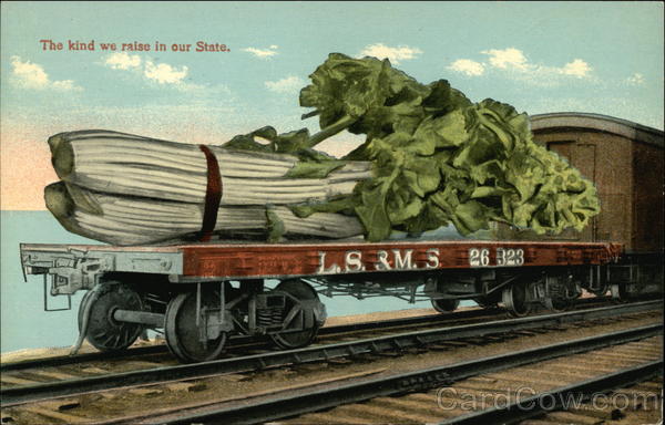 The Kind we Raise in Our State Exaggeration