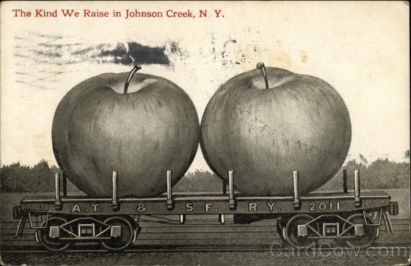 The Kind we Raise in Johnson Creek, N.Y Exaggeration