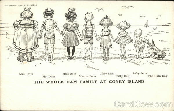 The Whole Dam Family at Coney Island The Whole Family