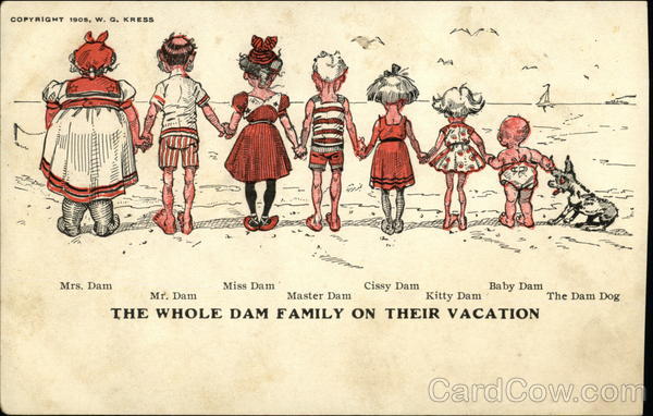 The Whole Dam Family on Their Vacation The Whole Family