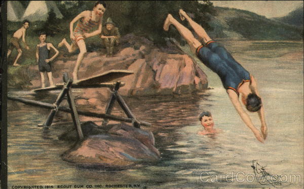 Boy Scouts: The Diving Board