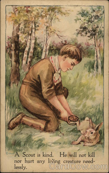 A Scout is Kind. He Will Not Kill Nor Hurt Any Living Creature Needlessly