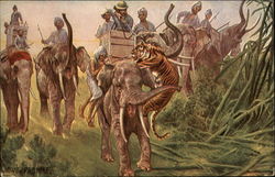 Tiger Attacking Men On Elephants Postcard