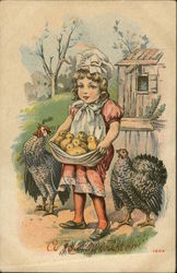 Little Girl Holds Chicks In Her Apron Little Girl Holds Chicks In Her Apron