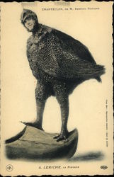 Chantecler de M. Edmond Rostand, A. Leriche, La Pintage Birds Postcard Postcard
