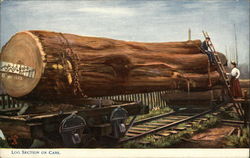 Log Section on Cars Log Section on Cars