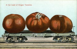 A Car Load of Oregon Tomatoes Postcard