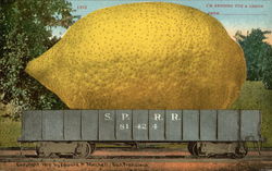 I'm Sending You a Lemon From Exaggeration Postcard Postcard