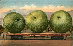 A Carload of Figs From Exaggeration Postcard Postcard