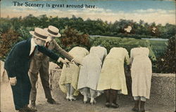 The Scenery is Great Around Here Postcard