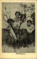 Wall Flowers Postcard