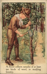 A Scout Collects Samples of at Least Ten Kinds of Wood, in Studying Forestry Postcard