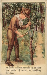 A Scout Collects Samples of at Least Ten Kinds of Wood, in Studying Forestry Boy Scouts Postcard Postcard