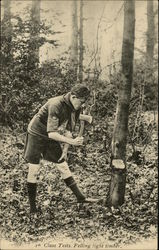 Class Tests. Felling Light Timber Postcard
