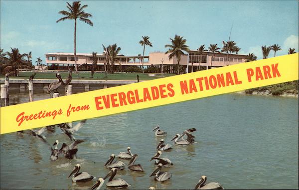 Greetings from Everglades National Park Florida