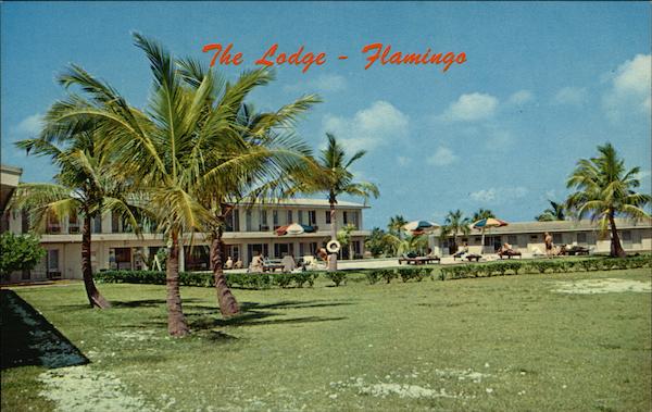 The Lodge - Flamingo Florida
