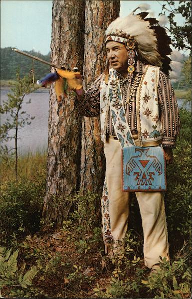 Chief Wabeness (white bird) Native Americana