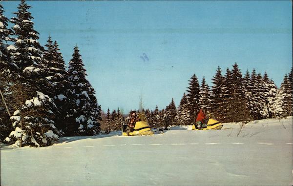 Snomobiling in Winter Wonderland