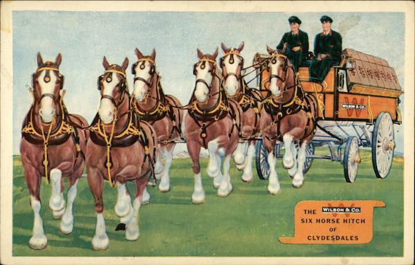 Wilson & Co. Meat Packers, Clydesdales Advertising